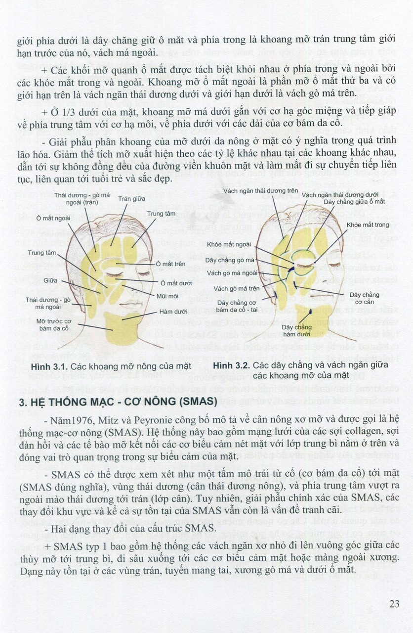 Các Vấn Đề Cơ Bản Trong Phẫu Thuật Tạo Hình Thẩm Mỹ (Phần III: Đầu Mặt Cổ) (Xuất bản lần thứ hai - năm 2023) - Trường Đại Học Y Hà Nội