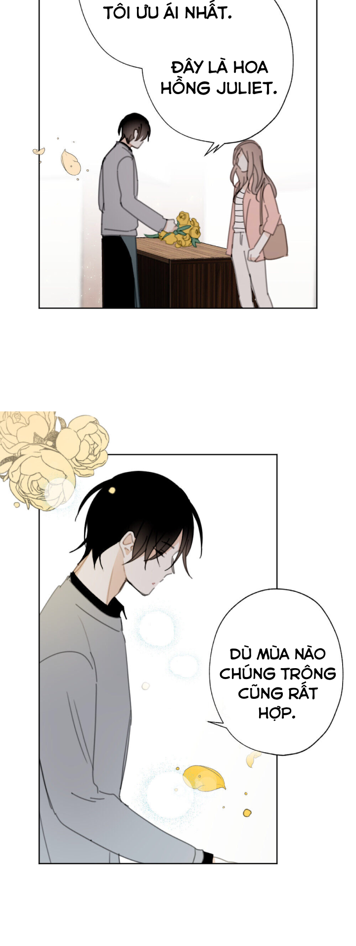 chuyện tình ở honey bouche chapter 23 21