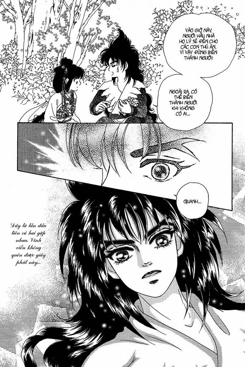 bird of youth chapter 6 29