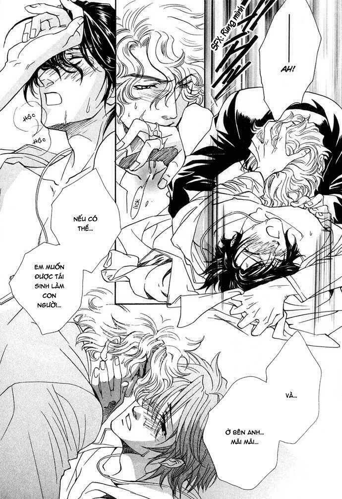 innocent bird chapter 12 23