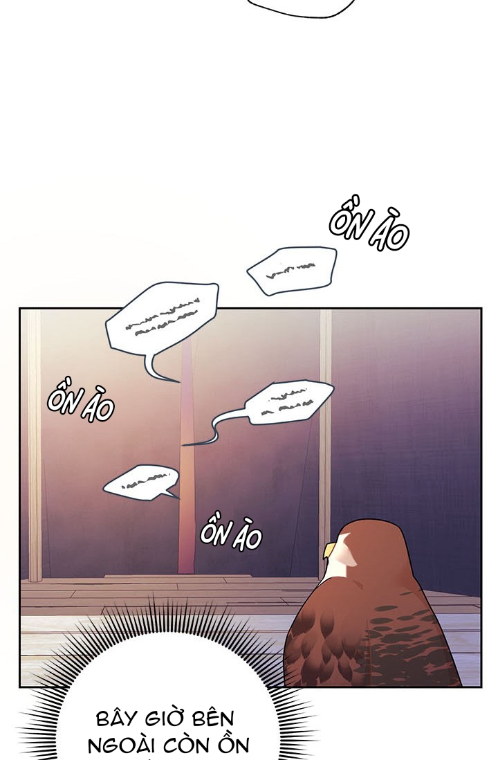 công chúa của loài chim chapter 33 48