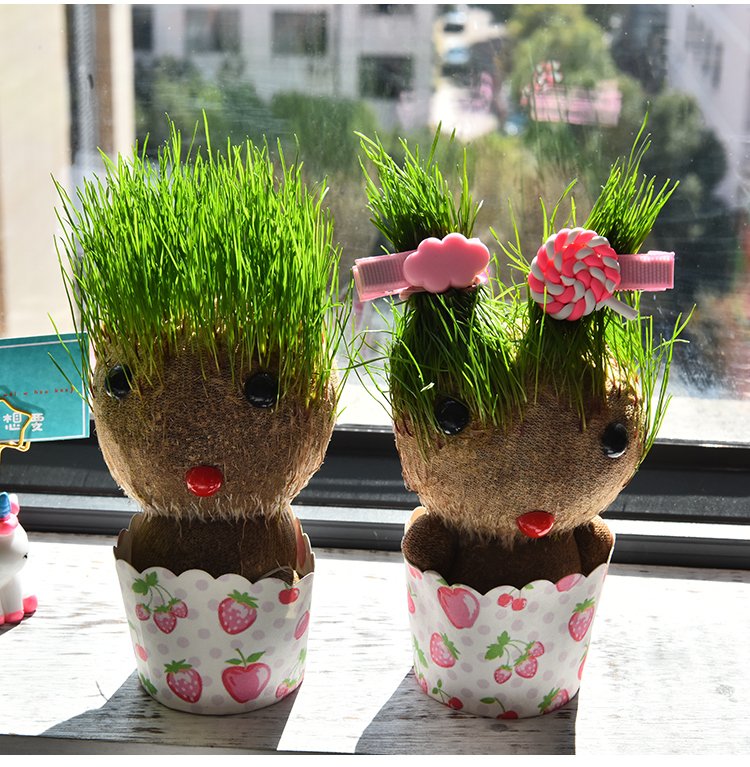 Búp bê cỏ trồng mọc tóc may mắn dùng trang trí nhà cửa quà tặng bạn bè người thân