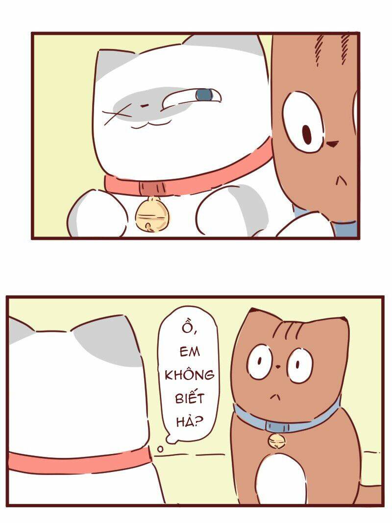 saphie: chú mèo một mắt chapter 28 7