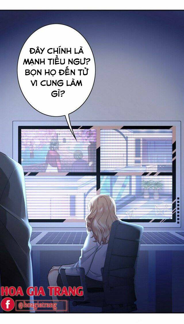 phục thù thiếu gia tiểu điềm thê chapter 64 5