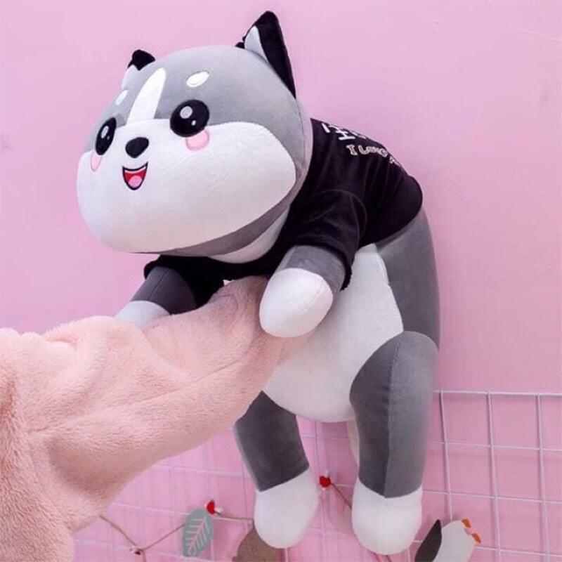Chó bông Husky, gối ôm nhồi bông mặc áo Every day đáng yêu