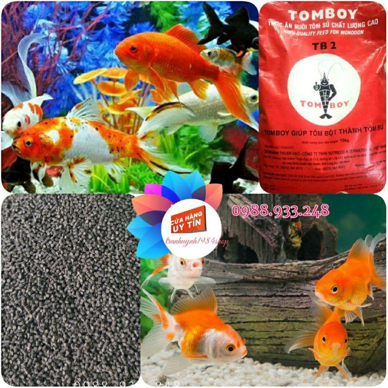 Cám TOMBOY TB2 hạt chìm cho Cá vàng, cá Ranchu