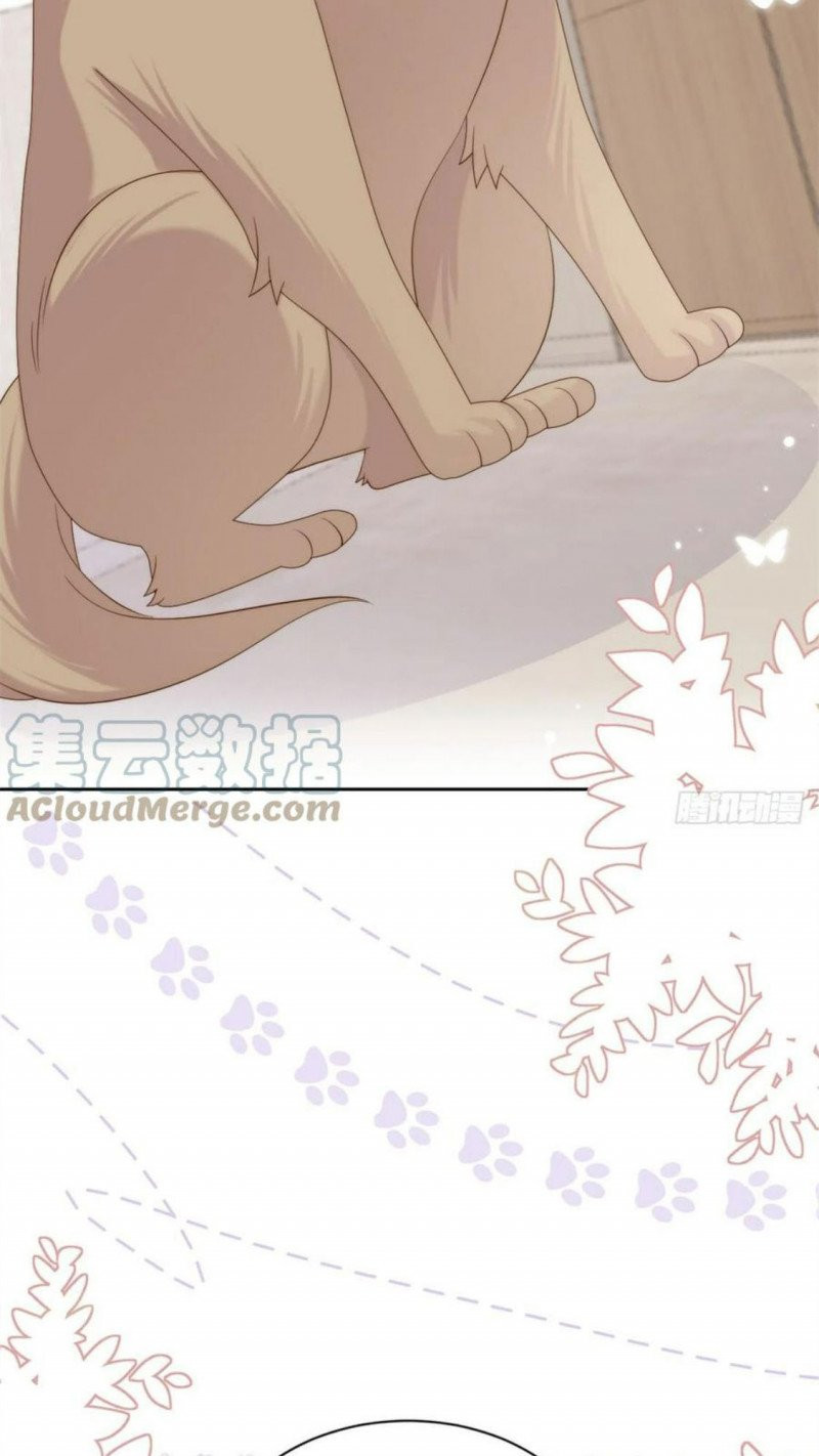 đoàn sủng lão đại ba tuổi rưỡi chapter 182 20