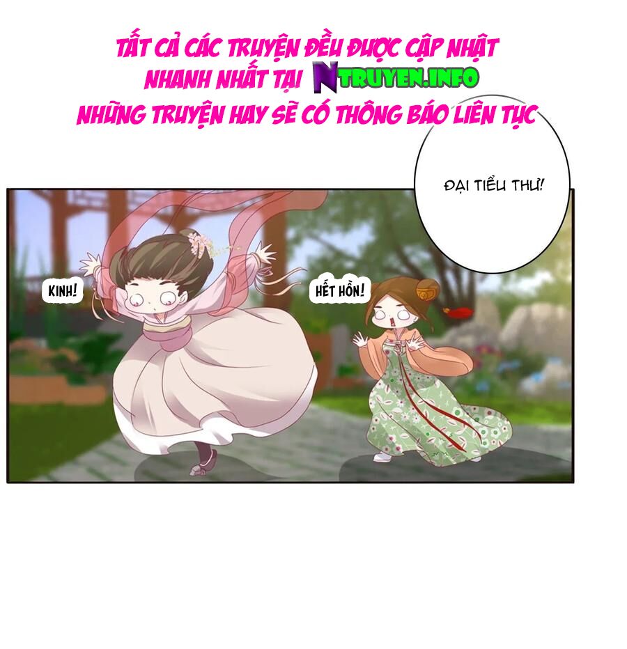 thông linh phi chapter 612 17