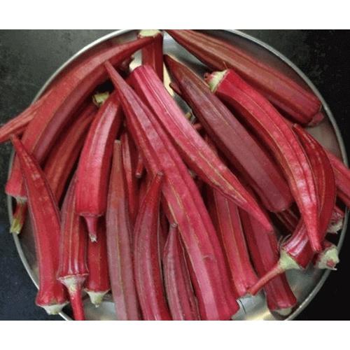 Hạt giống Đậu Bắp Đỏ chịu nhiệt