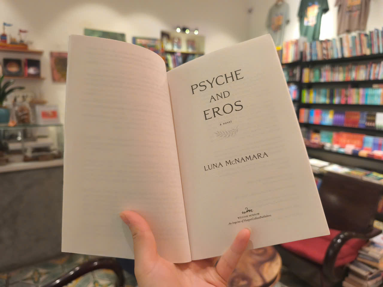 Sách - Psyche and Eros: A Novel by Luna McNamara (Editor's Best Romance) Tiểu thuyết tiếng Anh