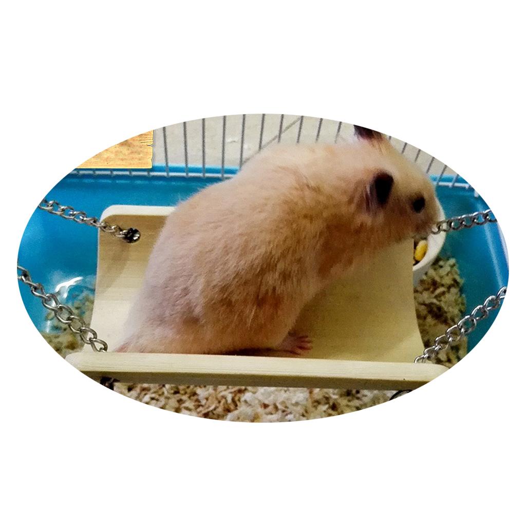 2 Pcs Pet Swing Hammock Hamster Squirrel Small Animal Bamboo Toys