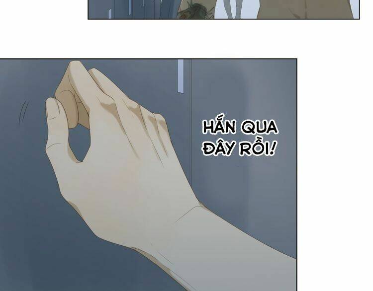 phi ngư chapter 4 49