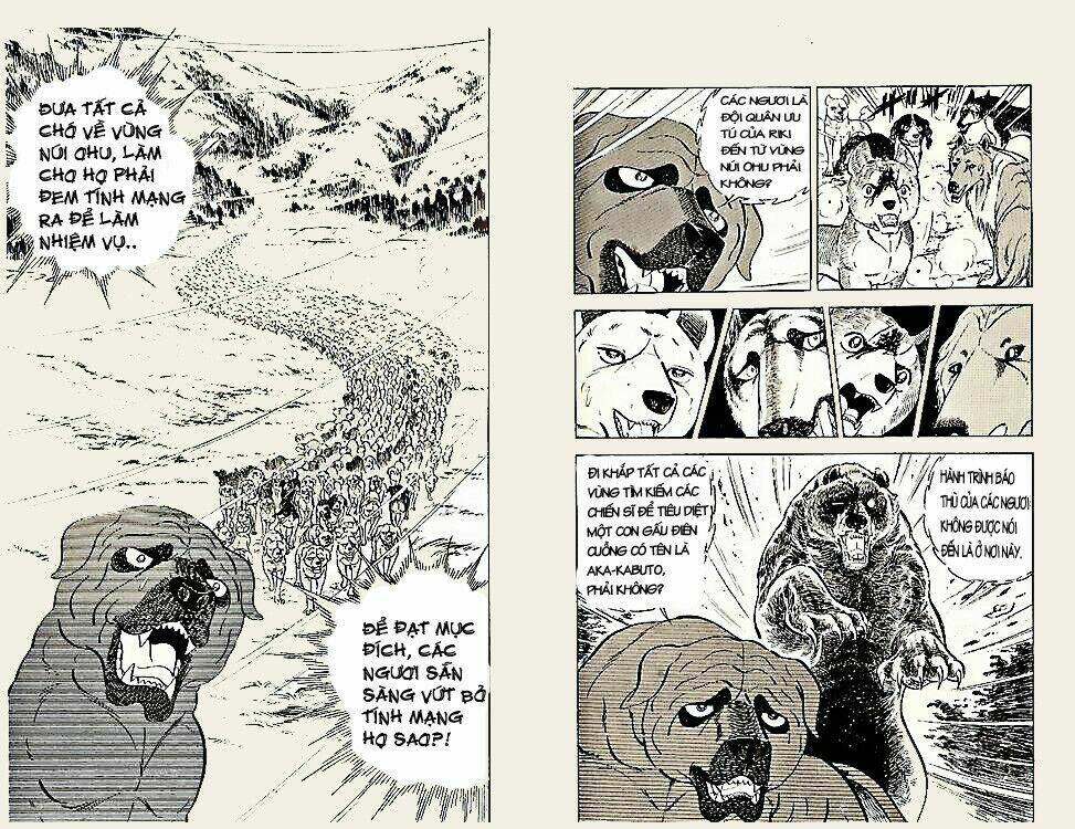 chú chó có nghĩa - ginga nagareboshi gin chapter 23 3