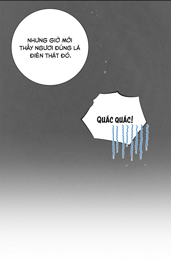 công chúa của loài chim chapter 43 62