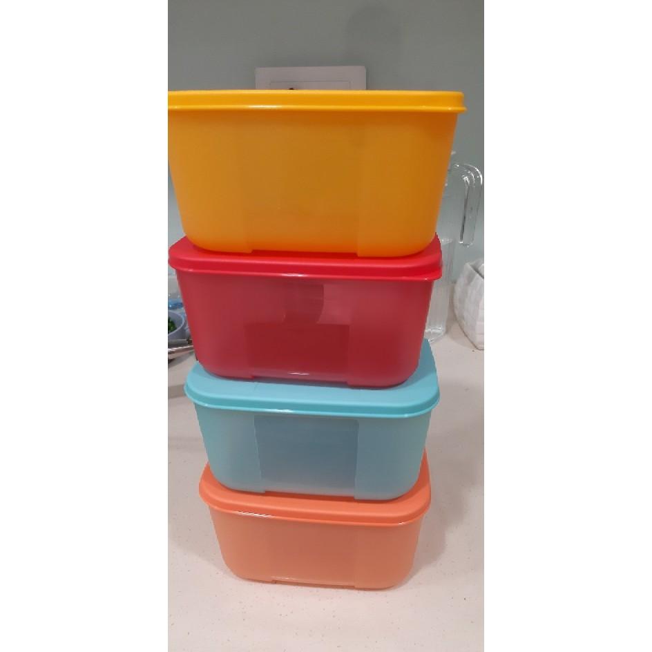 Bộ Hộp Trữ Đông Freezermate Rainbow Tupperware, Hộp Bảo Quản Thực Phẩm, Nhựa Nguyên Sinh An Toàn