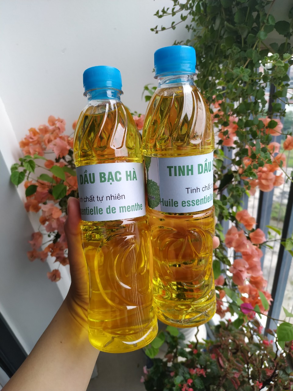 Tinh dầu bạc hà lau nhà, chai 500ml