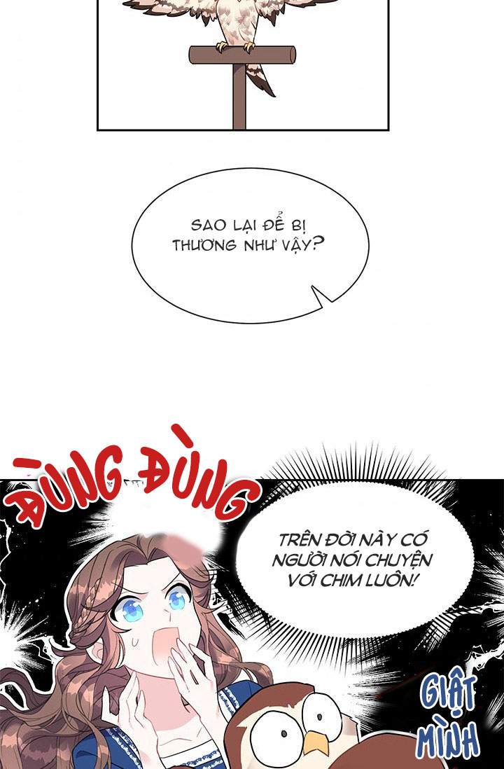 công chúa của loài chim chapter 8 54