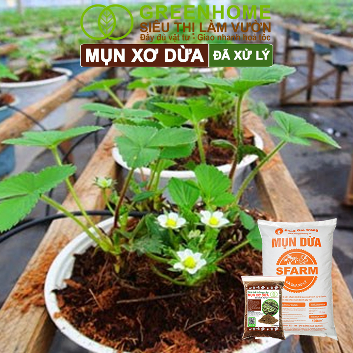 Mụn Xơ Dừa Greenhome, Sfarm, Bao 1kg, Đã Qua Xử Lý, Chuyên Trồng Rau, Hoa Màu, Dâu Tây, Cây Ăn Trái, Thủy Canh