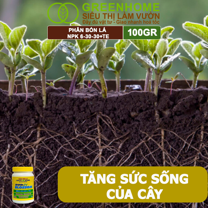 Phân Bón Lá Grow More NPK 6-30-30, GreenHome, Chai 100GR, Kích Ra Hoa, Tăng Đậu Quả