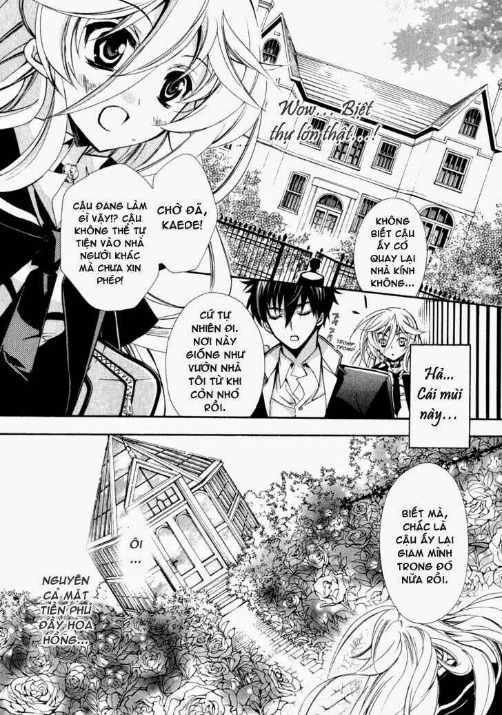 nụ hôn của công chúa tường vi chapter 4 11