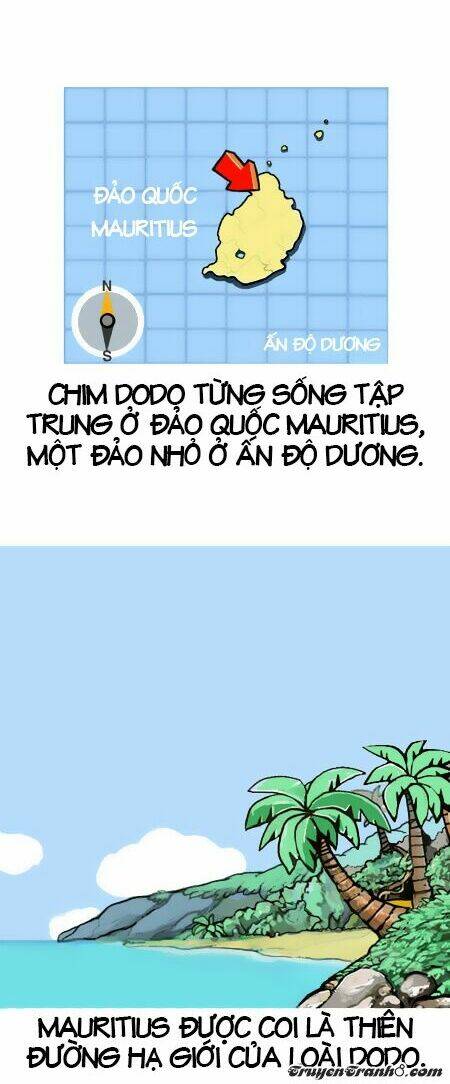 earth, human, and animal chapter 5 5