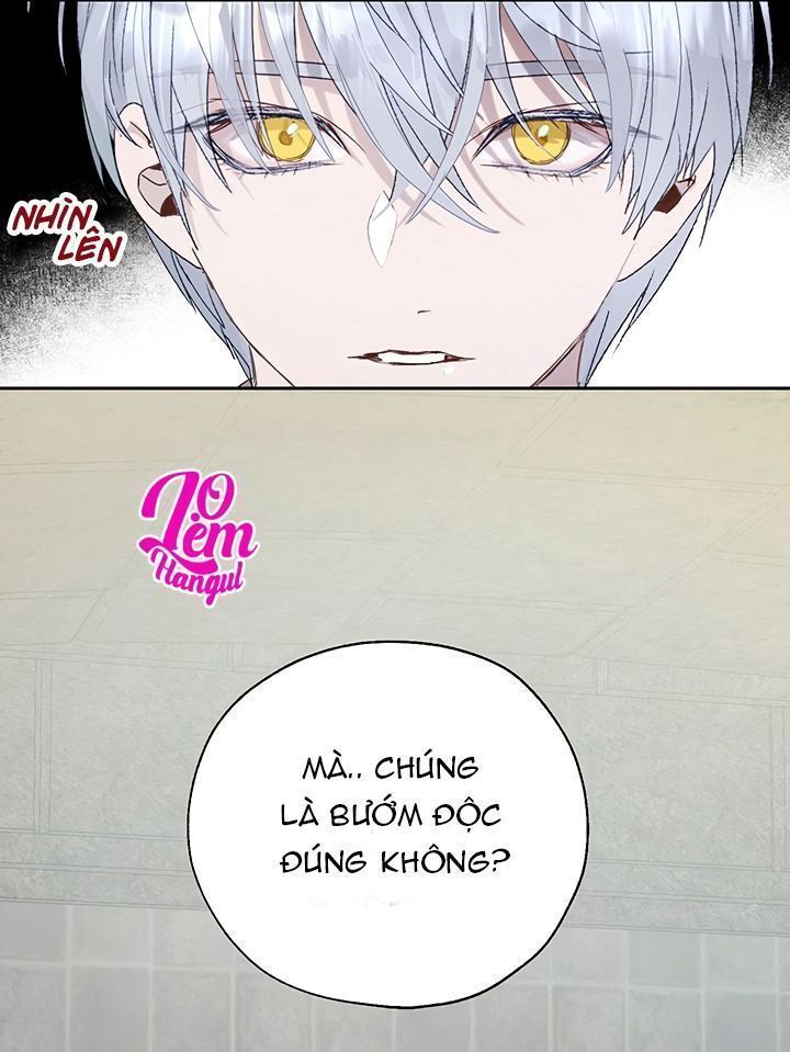 cách để cứu rỗi anh trai của nữ chính chapter 22 55