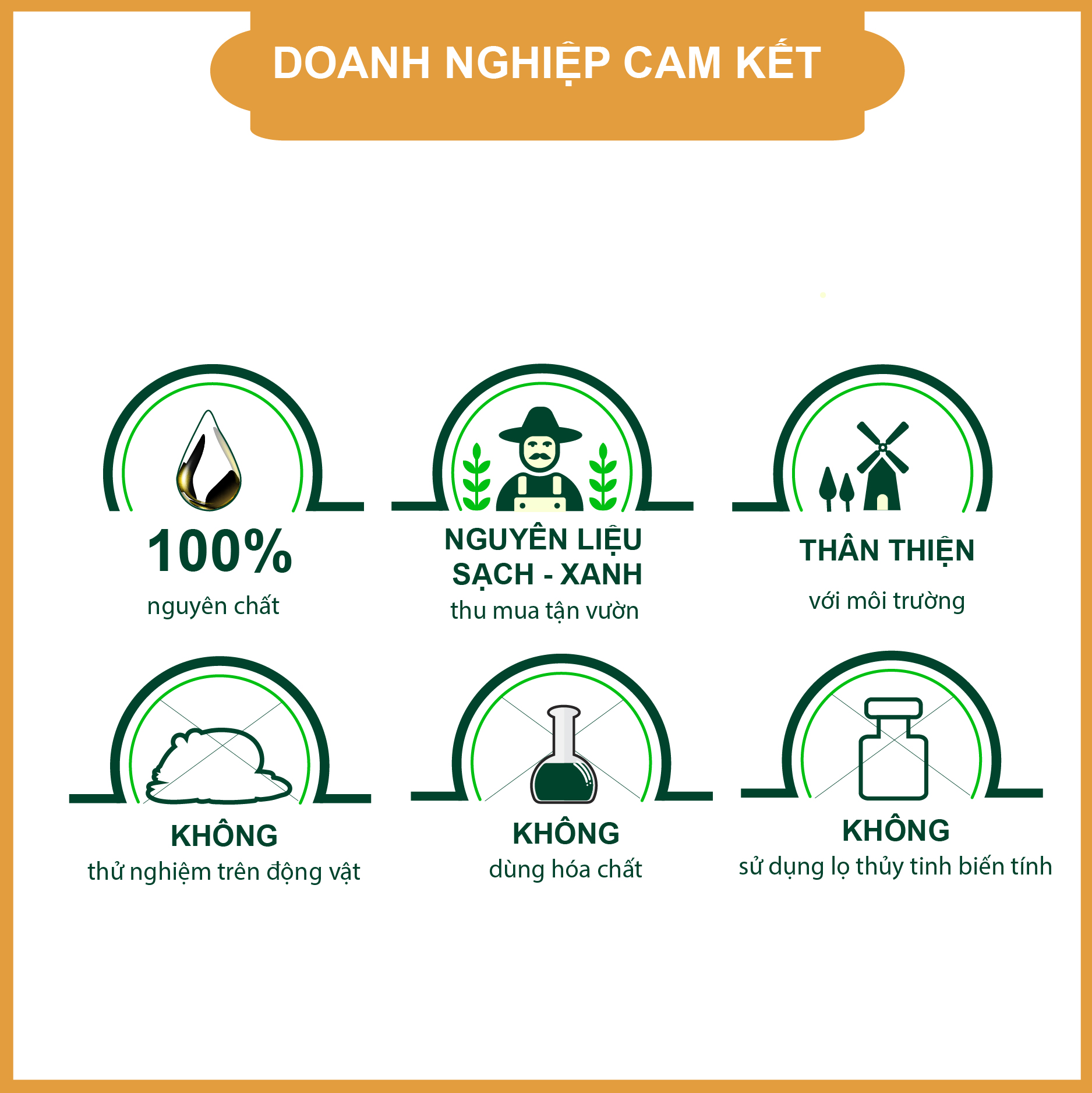 Dầu Mù U Thái An - Đạt chất lượng ISO toàn cầu 13485:2016 - Giảm Rạn Da, Lành Sẹo, Lành vết Bỏng, Đẹp Và Sáng Da