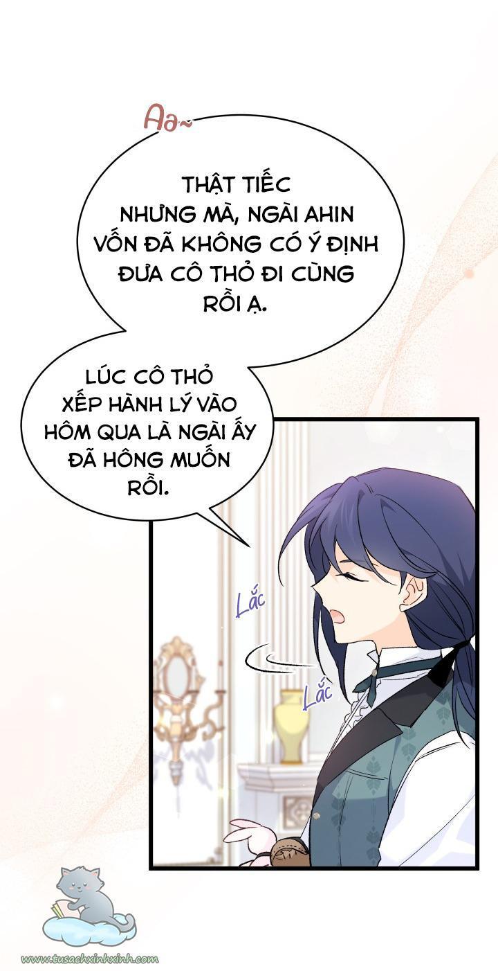 quan hệ cộng sinh giữa báo đen và thỏ trắng chapter 59 62