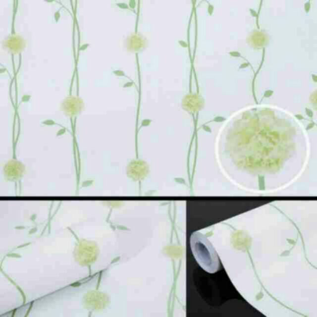 Giấy dán tường hoa cẩm chướng dây leo xanh