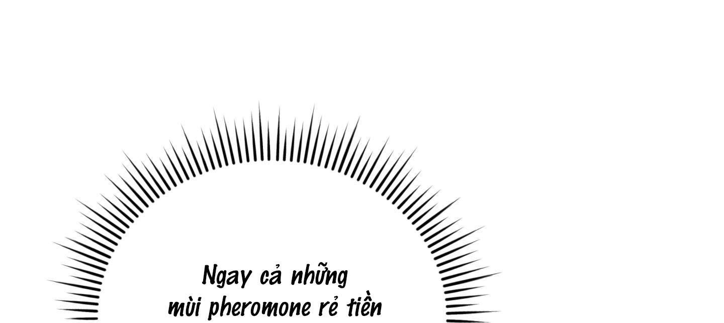 alpha mặt hàng không thể trả chapter 2 25