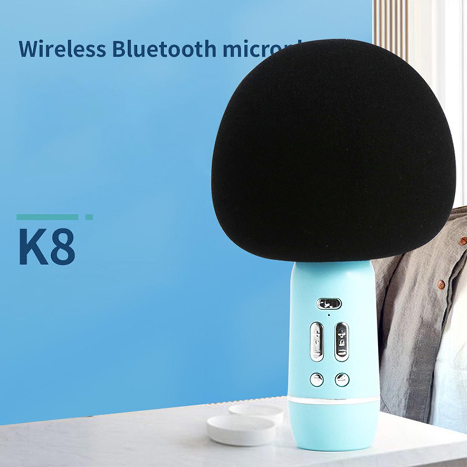 Portable Wireless Microphone Karaoke Speaker Karaoke Machine