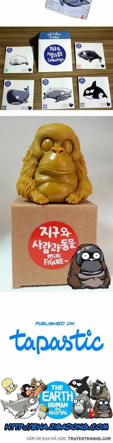 earth, human, and animal chapter 13 25