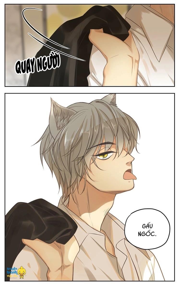 cứu mạng ! loài mèo thống trị thế giới rồi ! chapter 16 21