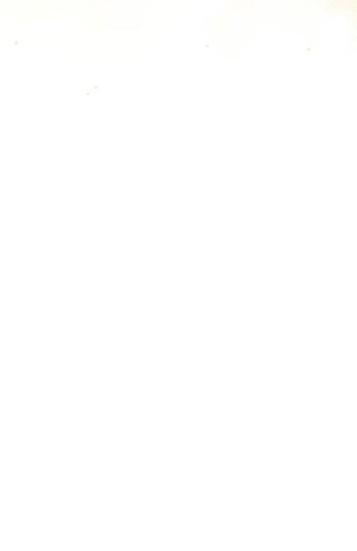 công chúa giả điên chapter 30.2 8