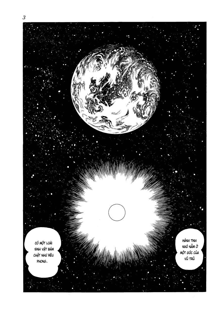 chim lửa chapter 77 6