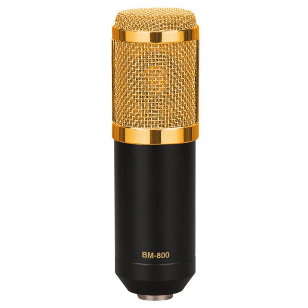 Condenser Microphone Large Diaphragm MIC for Broadcasting/Studio Recording