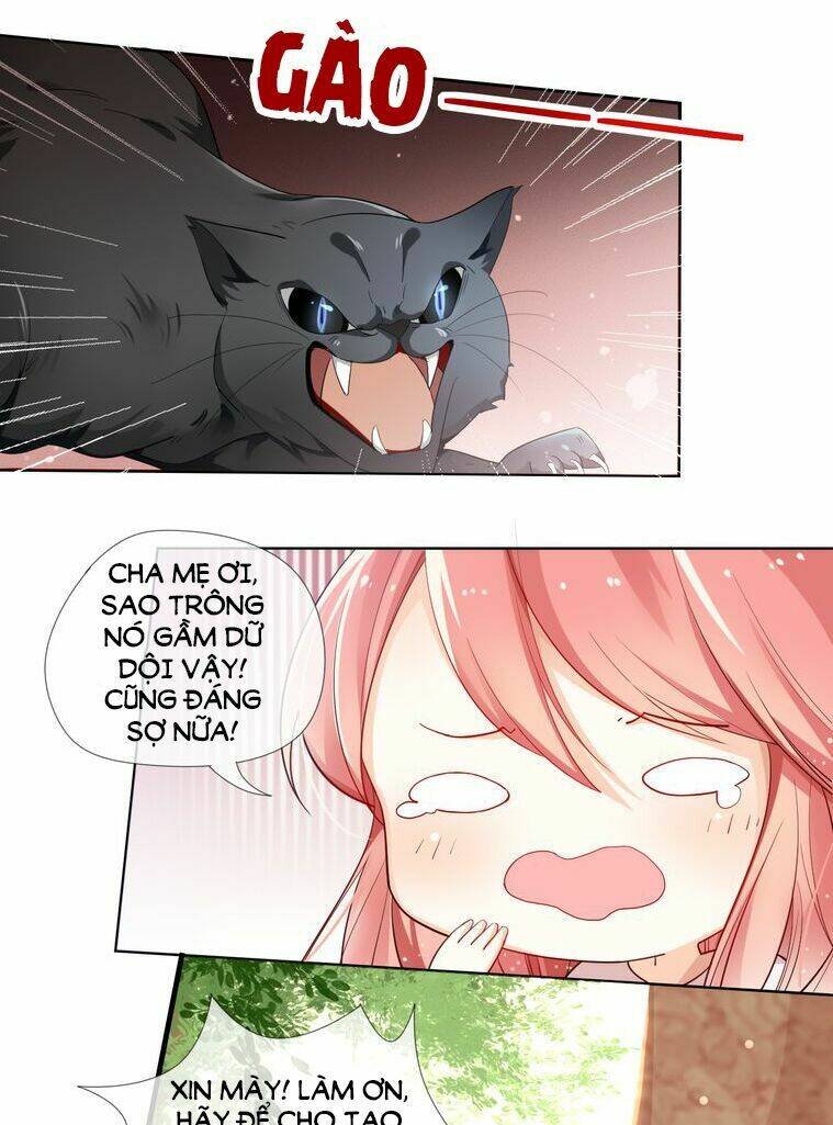 sói và chỉ huy chapter 1 5