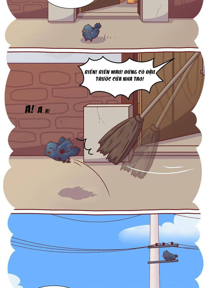 cây nấm kì khả chapter 17 8