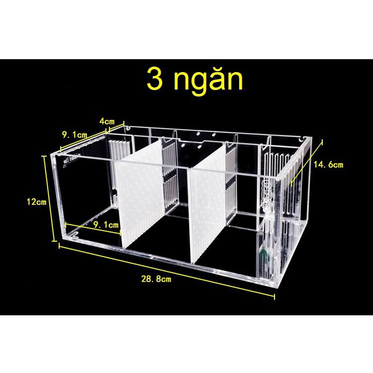 Hộp acrylic nuôi cá chọi betta 4 ngăn trong suốt