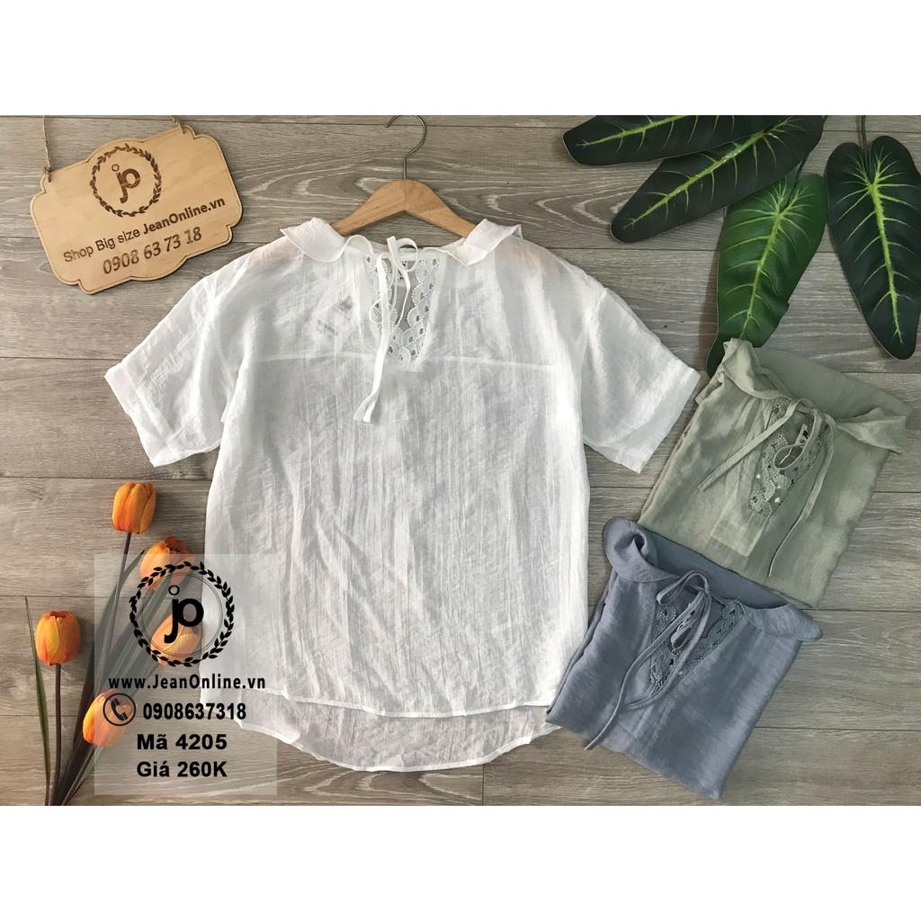 Bigsize Nữ - Áo kiểu cổ bèo