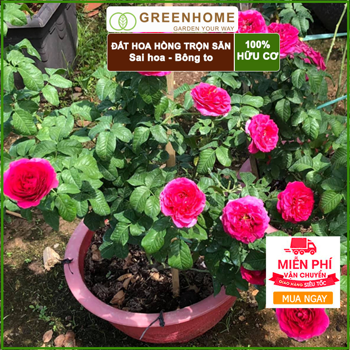 Đất trồng hoa hồng Greenhome- Giúp cây giữ ẩm, các chất dinh dưỡng, hoa hồng phát triển khỏe mạnh-5kg
