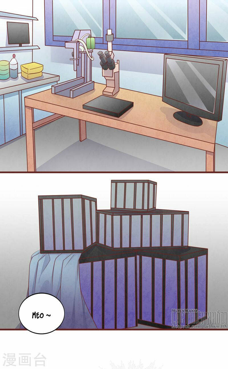 đào tạo nuôi dưỡng bạn trai mèo chapter 50 6