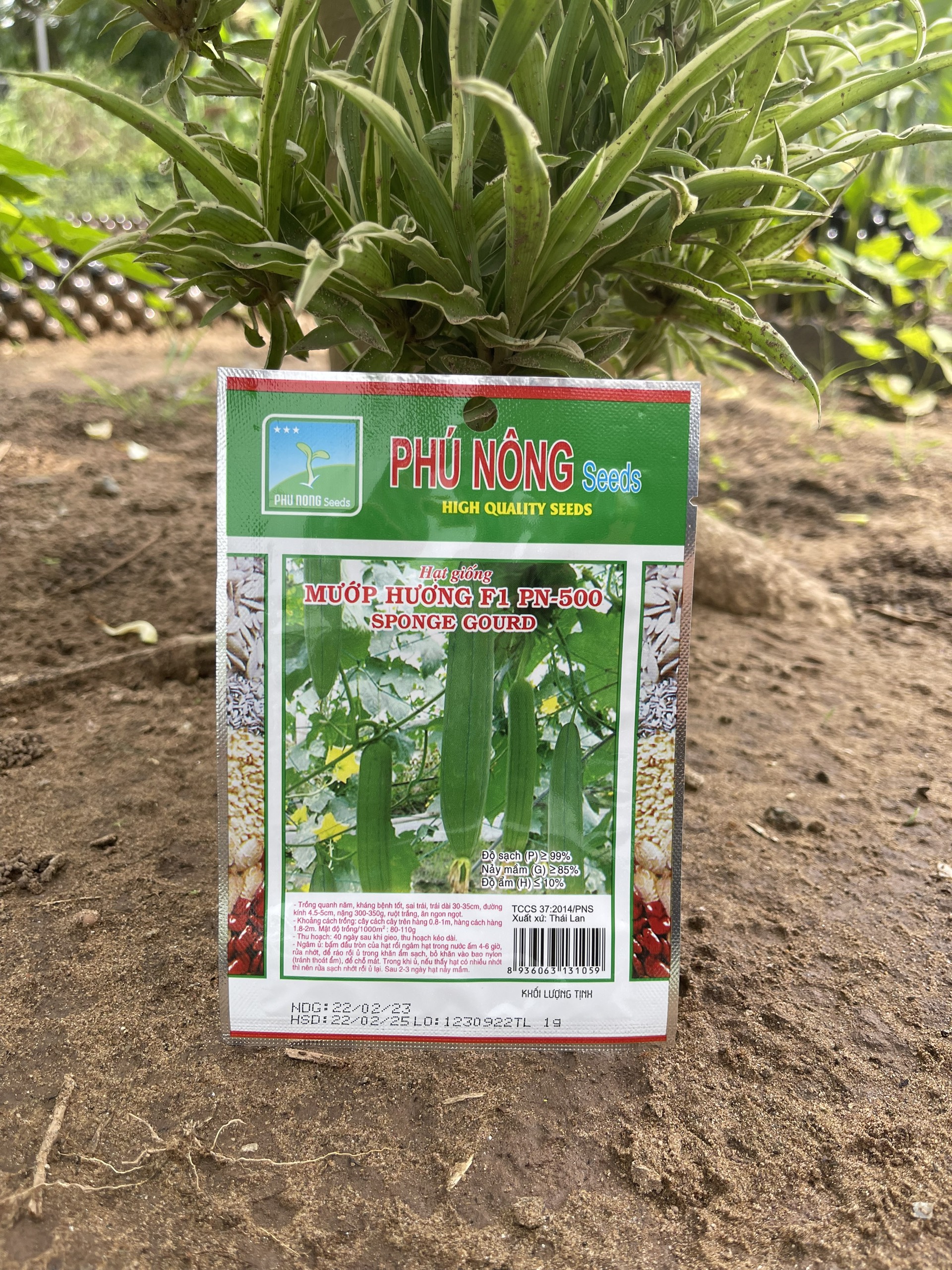 Mướp Hương F1 PN 500 Phú Nông gói 1gram