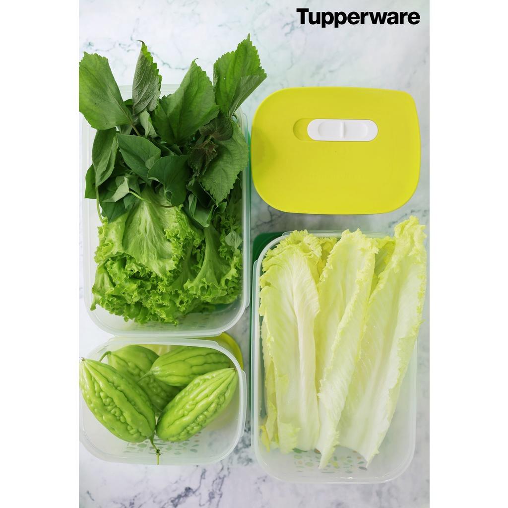 Bộ Hộp Trữ Mát Có Nút Hô Hấp Ventsmart 7 Tupperware