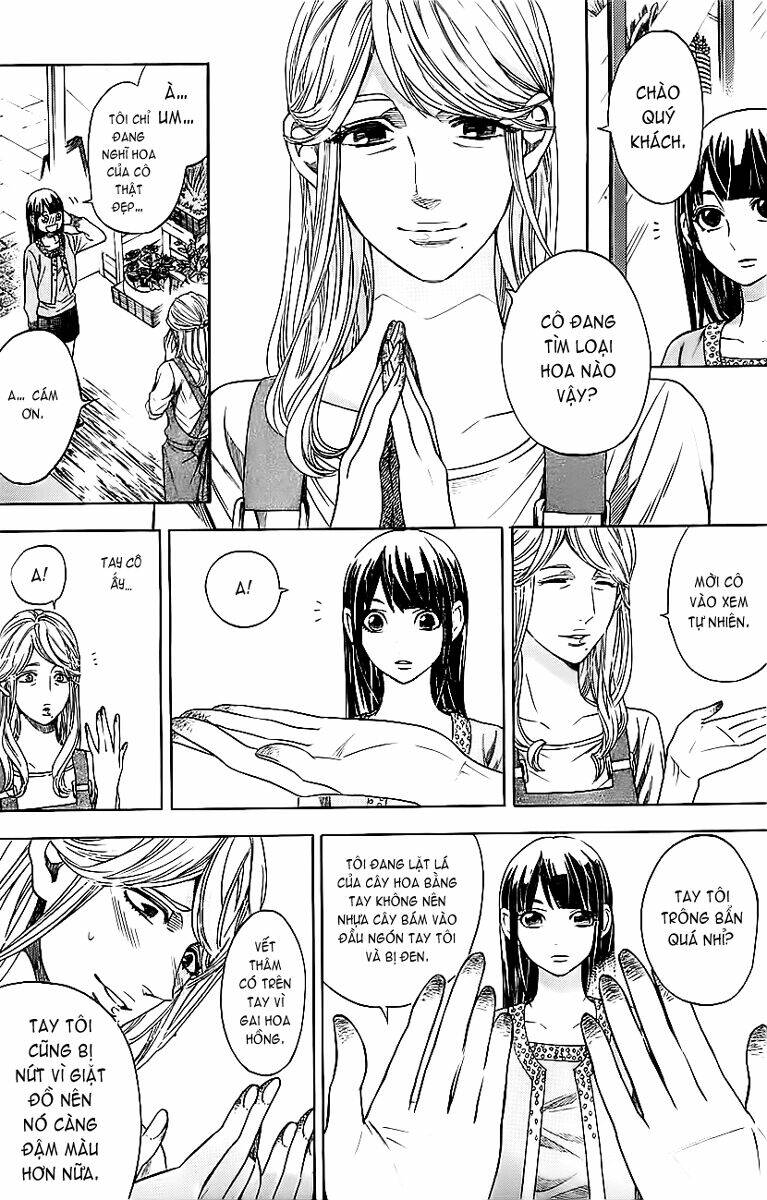 mielino kashiwagi chapter 10 13