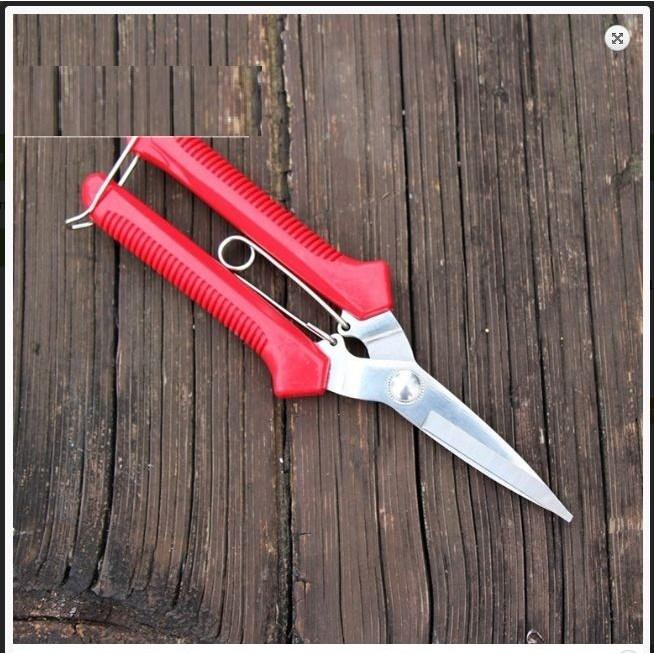 Kéo tỉa cành trái, tỉa chi dăm 19,5cm màu đỏ DCLV156