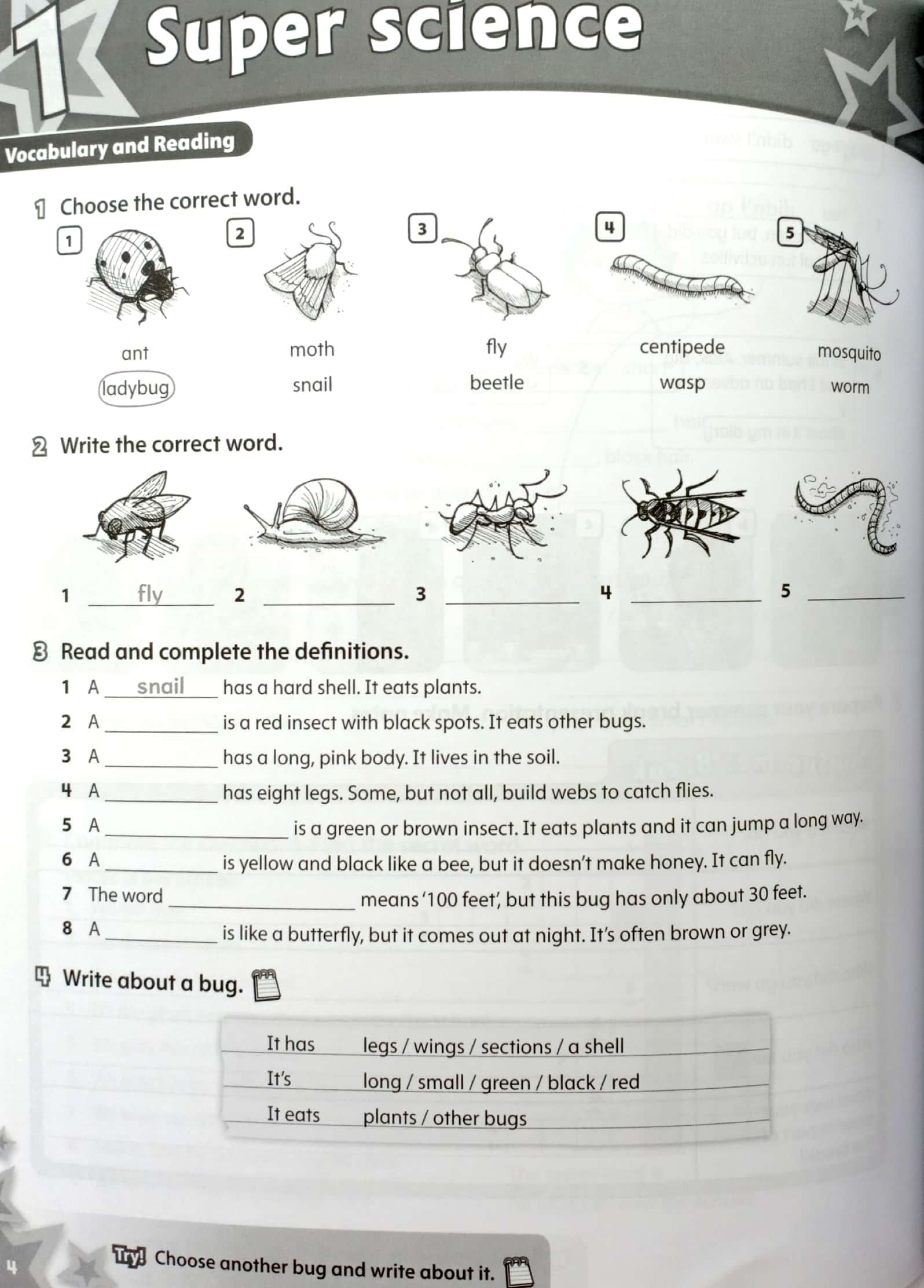 Starlight: Level 5: Workbook