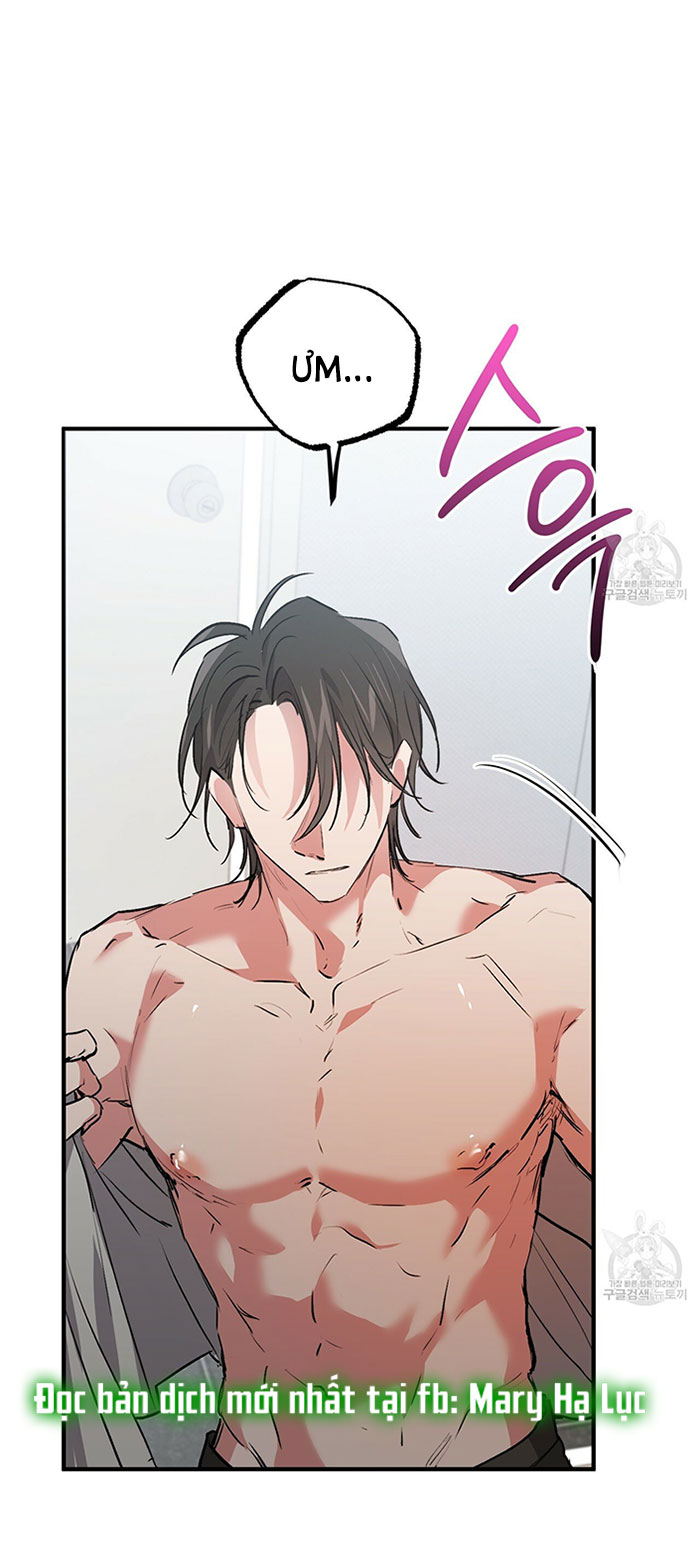 những chú thỏ của hapypy chapter 43 9