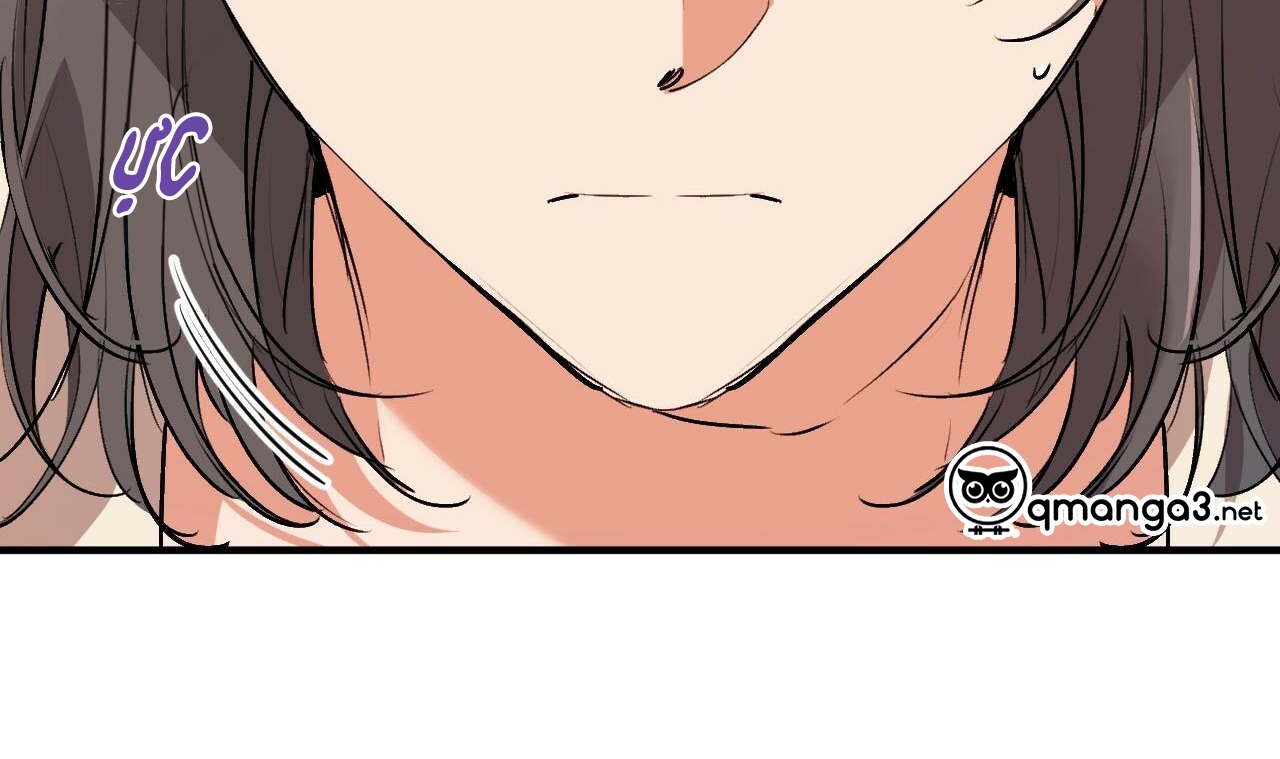 đàn thỏ của habibi chapter 44 150