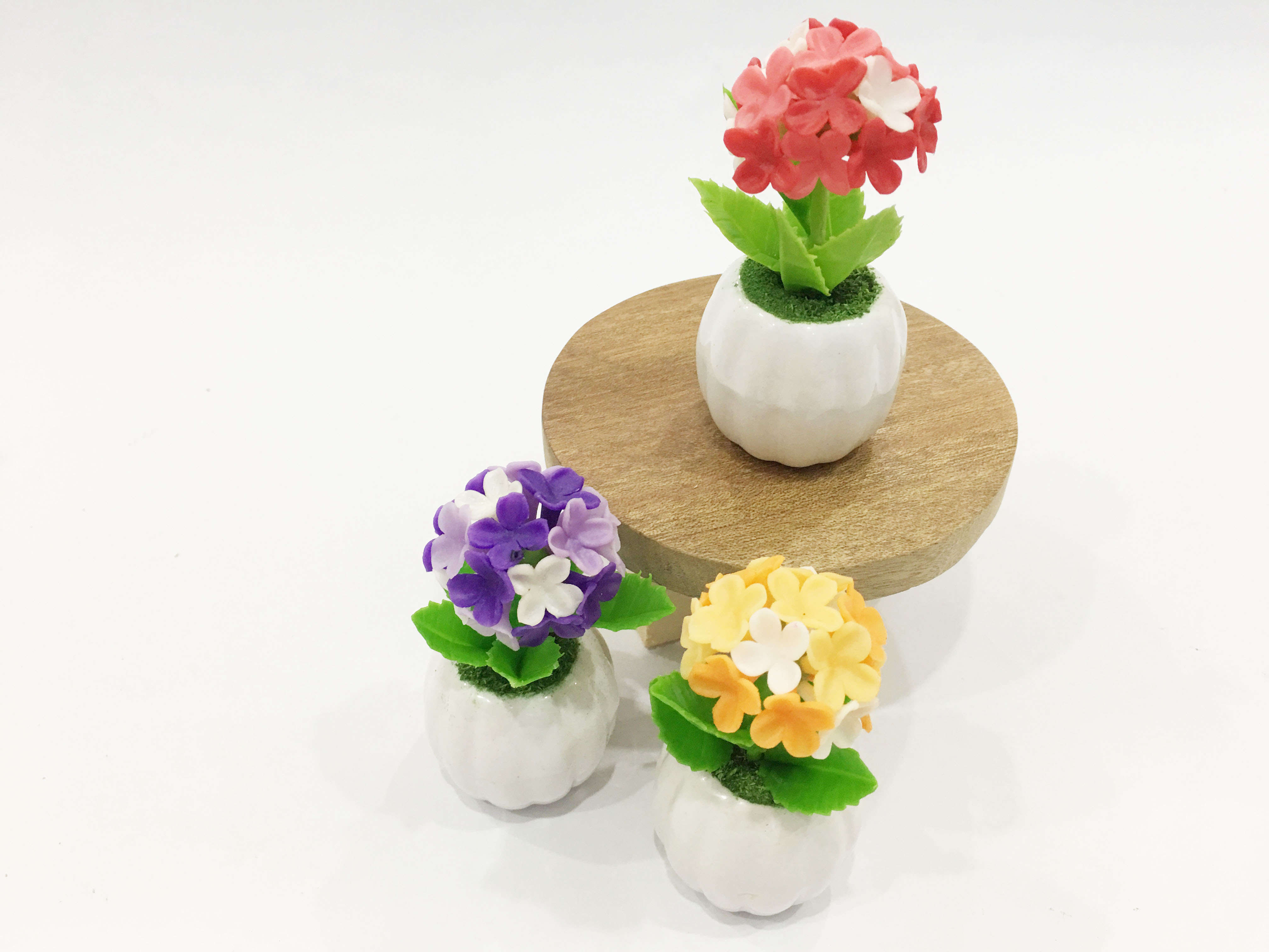 Chậu hoa đất sét mini - Cây hoa sống đời /cây lá bông  - Quà tặng trang trí handmade